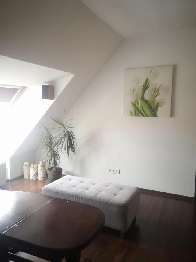 Apartamenty Lena 16 Twoje Poddasze Raciborz Exterior photo